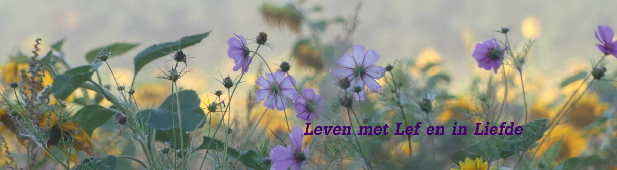Levenstaal