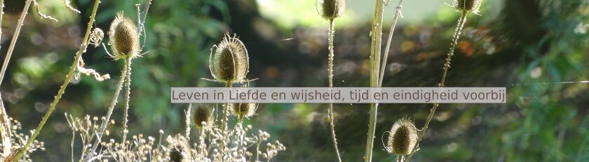 Levenstaal